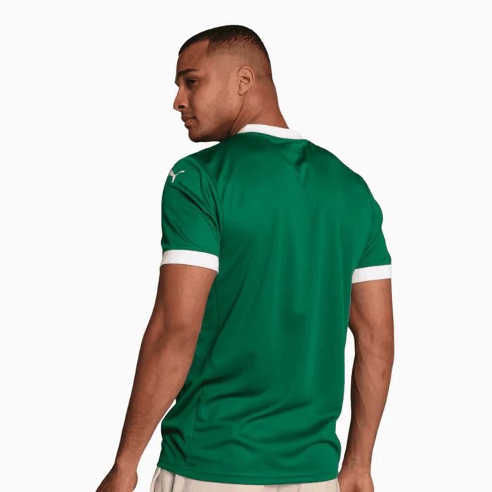 CAMISA PALMEIRAS TITULAR 25/26 - TORCEDOR